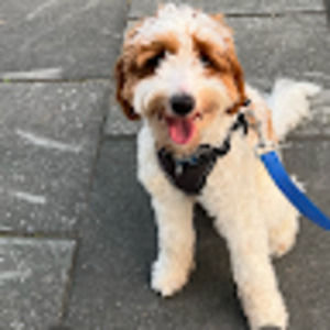 Meet your Posher, Kelsey